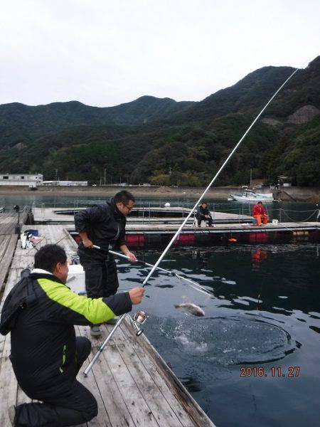 松名瀬フィッシングパーク 釣果