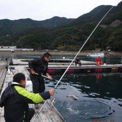 フィッシングパーク錦 釣果