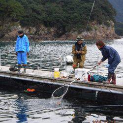 フィッシングパーク錦 釣果