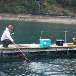 フィッシングパーク錦 釣果