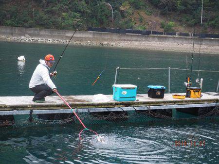 フィッシングパーク錦 釣果