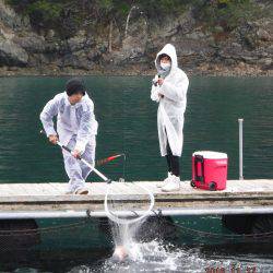松名瀬フィッシングパーク 釣果