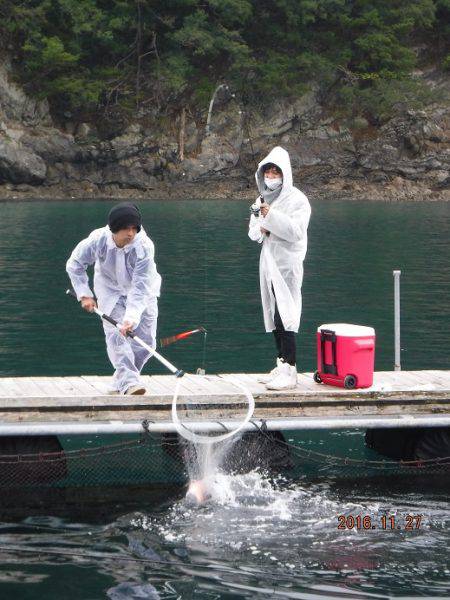 フィッシングパーク錦 釣果