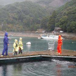 フィッシングパーク錦 釣果