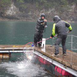 松名瀬フィッシングパーク 釣果