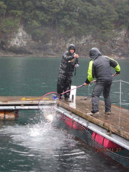 フィッシングパーク錦 釣果