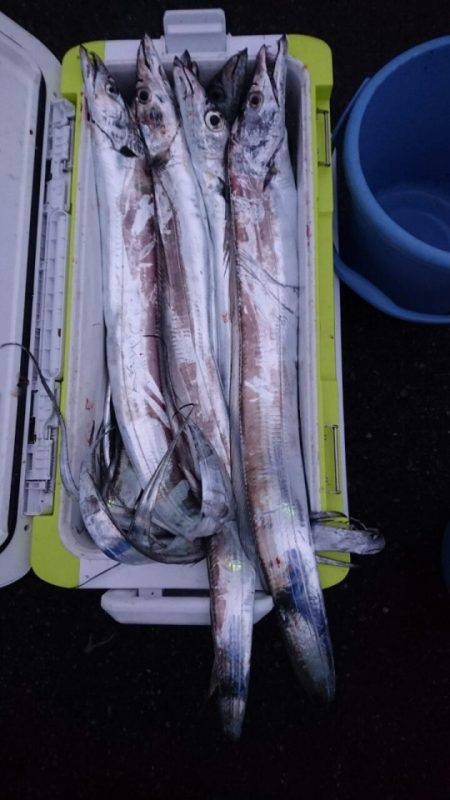 オーフリー 釣果