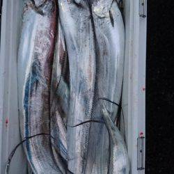 オーフリー 釣果