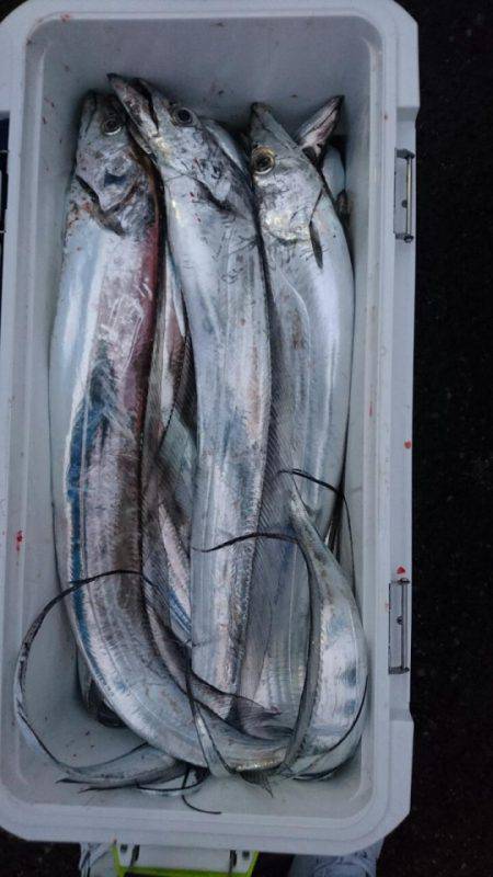 オーフリー 釣果