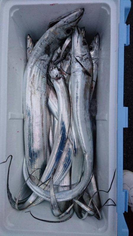 オーフリー 釣果