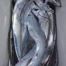 オーフリー 釣果