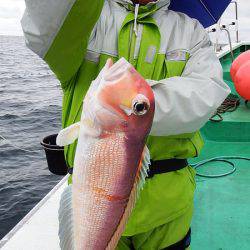 第三むつりょう丸 釣果