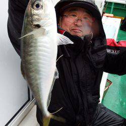 第三むつりょう丸 釣果