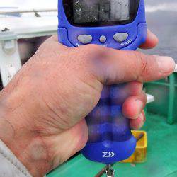 第三むつりょう丸 釣果