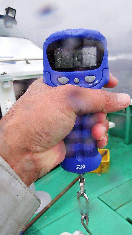 第三むつりょう丸 釣果