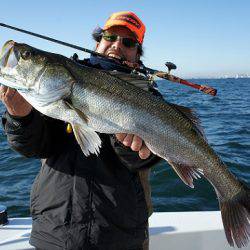 フルコンタクト 釣果