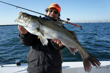 フルコンタクト 釣果