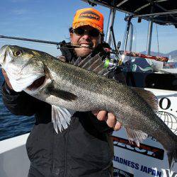 フルコンタクト 釣果