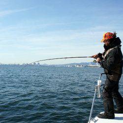 フルコンタクト 釣果