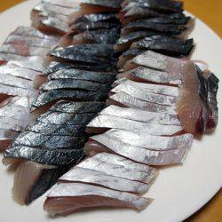 フルコンタクト 釣果