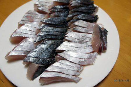 フルコンタクト 釣果