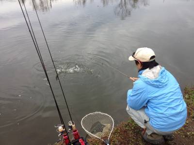 吉羽園 釣果