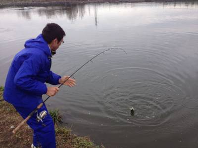 吉羽園 釣果