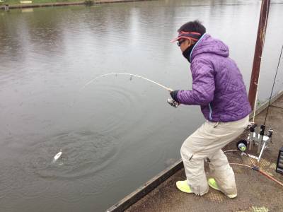 吉羽園 釣果