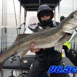 オーシャンマスター 釣果