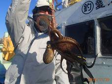 七福丸 釣果