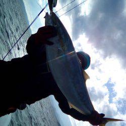 ファイヤードルフィン 釣果