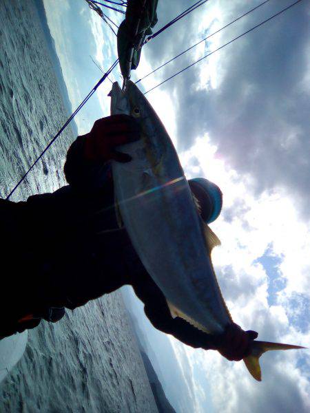 ファイヤードルフィン 釣果