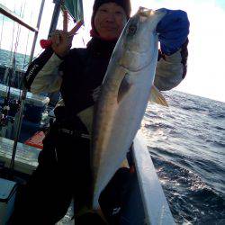 ファイヤードルフィン 釣果