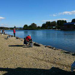 みどりフィッシングエリア 釣果