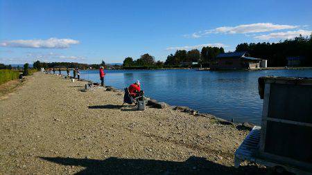 みどりフィッシングエリア 釣果