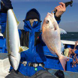 長栄丸(千葉) 釣果