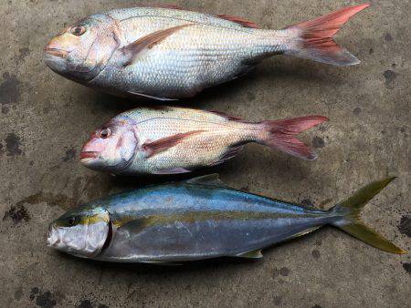 長栄丸(千葉) 釣果