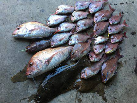 長栄丸(千葉) 釣果