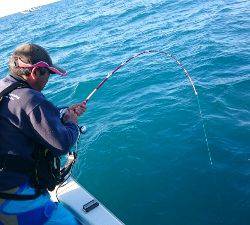 IDATEN（イダテン） 釣果