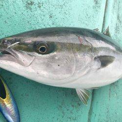 広進丸 釣果
