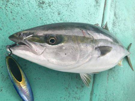 広進丸 釣果