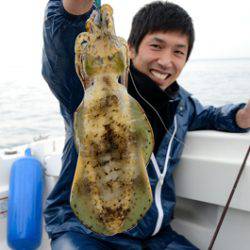 Marine T Design マリンティーデザイン 釣果