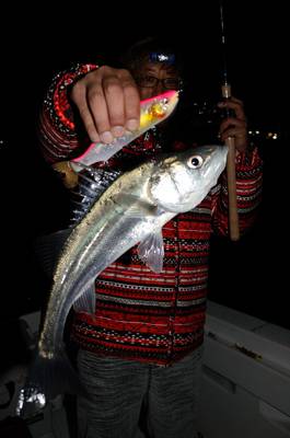 Marine T Design　マリンティ…