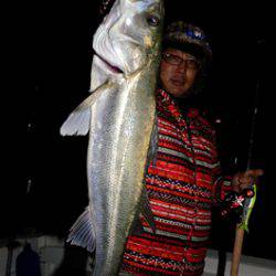 Marine T Design　マリンティーデザイン 釣果