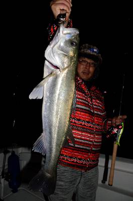 Marine T Design　マリンティーデザイン 釣果