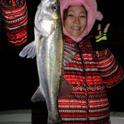 Marine T Design　マリンティーデザイン 釣果