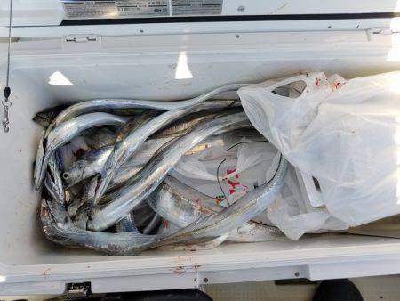 遊漁船　ニライカナイ 釣果