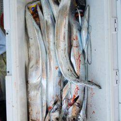 遊漁船　ニライカナイ 釣果