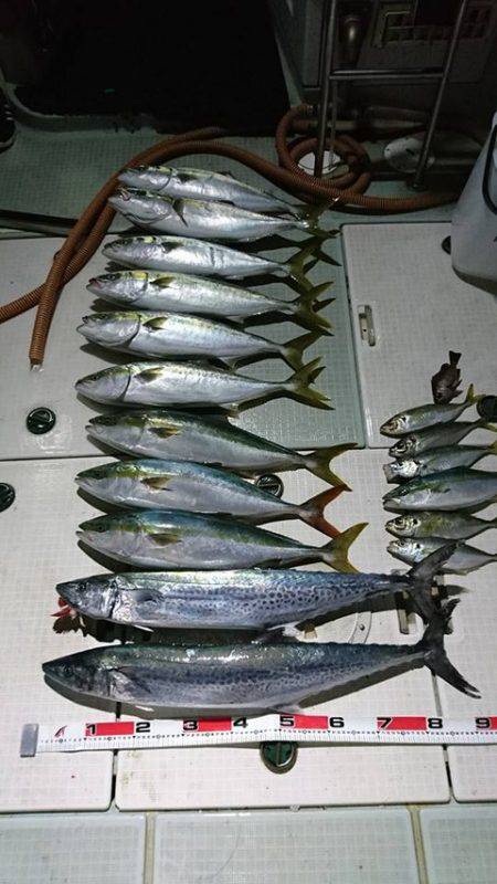 スカイマリン 釣果