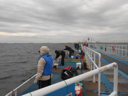 オリジナルメーカー海づり公園(市原市海づり施設) 釣果